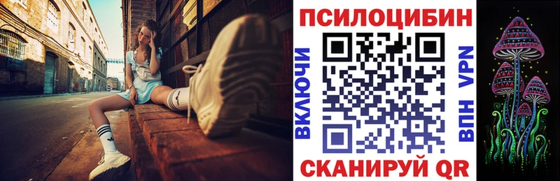 Псилоцибиновые грибы Psilocybine cubensis Каневская